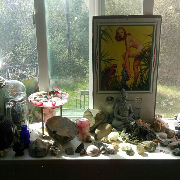 Meet your Posher, Serenity - Picture 3 of 7